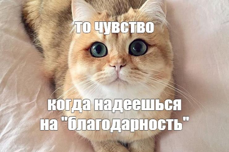 Медицина наизнанку: зарплаты, "благодарности", аплодисменты.