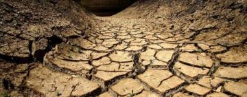 Не будьте равнодушными: на сайте президента создали петицию в поддержку аграриев Бессарабии, которые терпят убытки вследствие засухи