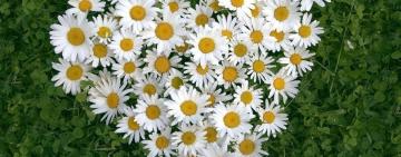 Гороскоп на неделю с 18 по 24 мая