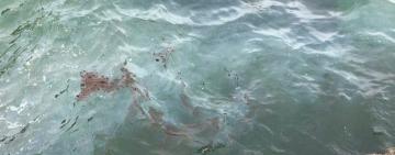 Портовики подтвердили утечку нефтепродуктов из танкера 