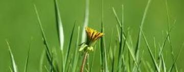 22 мая: почему в этот день нельзя грустить?