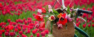 Гороскоп на неделю с 25 по 31 мая