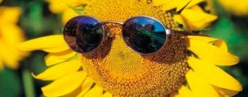 Гороскоп на неделю с 1 по 7 июня: начни лето правильно