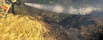 Килия: неосторожное обращение с огнем привело к возгоранию сухостоя возле кладбища