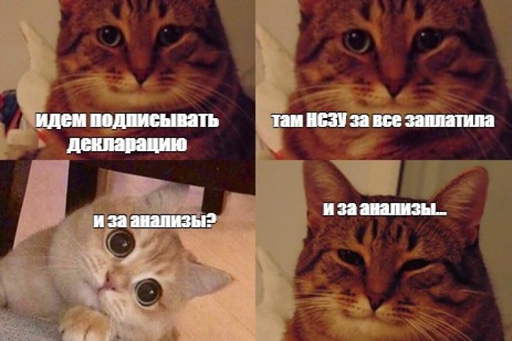 Бесплатная медицинская помощь, электронное направление и прочие новшества медицины 