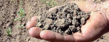 Допомога аграріям Одещини: 15 млн грн з обласного бюджету спрямують на підтримку фермерів