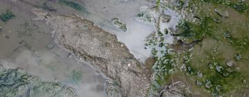 Смердящие лужи Болграда