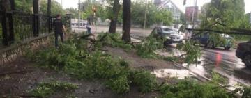  Негода знеструмила 348 населених пунктів та підтопила сотні будинків України