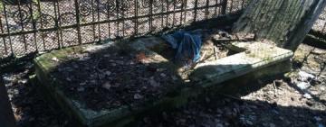 Житель Одесской области раскопал могилу солдата Второй мировой войны, чтобы снять с него ордена