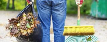 За очередную кражу - общественные работы: суд назначил наказание жителю Измаила