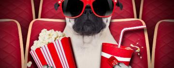 Українські кінотеатри запрацюють з 2 липня, але з чіткими умовами