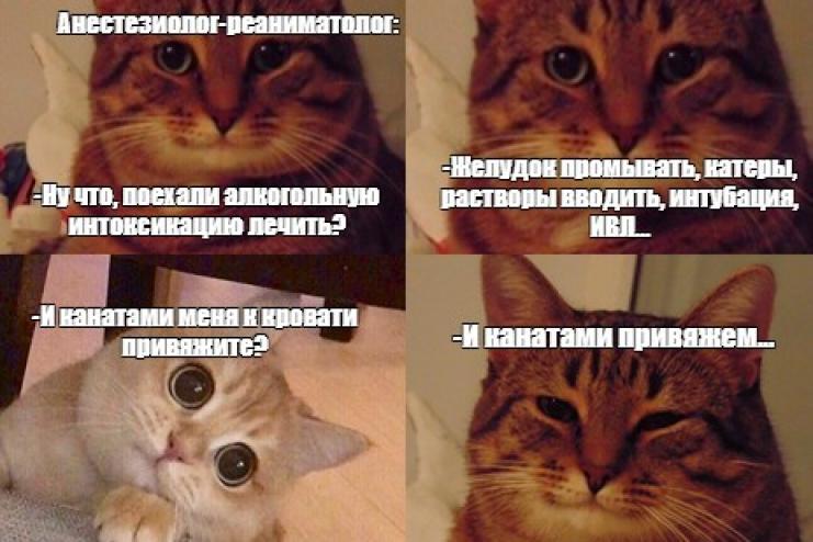 Итоги карантина: рост алкоголизма, «исчезновение  хроников», деморализация медиков. 
