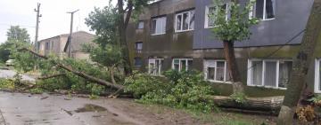 Килийский район: последствия обрушившейся стихии(фото, видео)