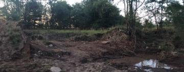 Глупость, жадность и безответственность