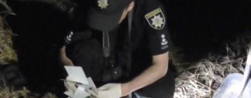 Убили, расчленили и закопали: несовершеннолетние парень и девушка из Аккермана, подозреваются в убийстве иностранца