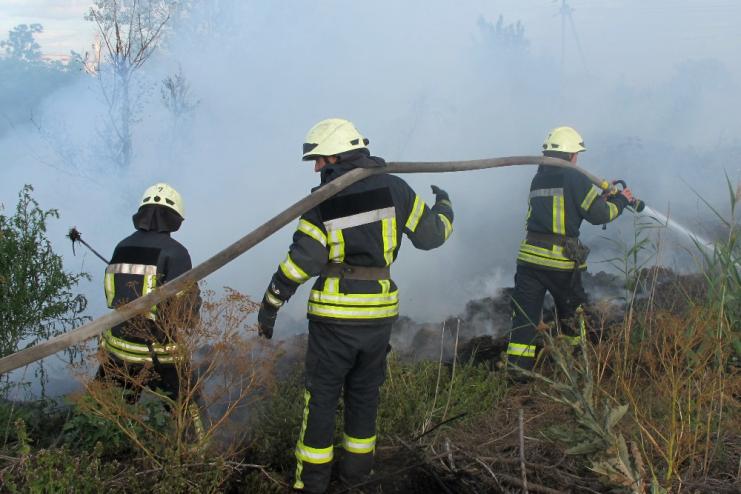 Восемь выездов за сутки: в Одесской области пожарные борются с возгоранием сухой травы