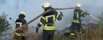 Восемь выездов за сутки: в Одесской области пожарные борются с возгоранием сухой травы