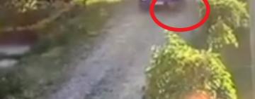 В Одесской области водитель дважды переехал собаку: живодёру грозит реальный срок