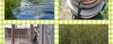 Добро пожаловать на Николаевский водоём: для ценителей "зелёного" туризма