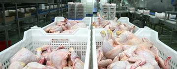 В мясе кур польского производства обнаружена сальмонелла - Одесская Госпродпотребслужба