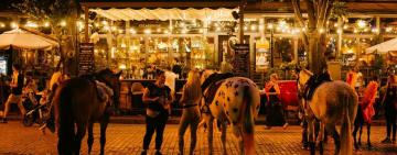 «Забава ценою в страдания, или как на Дерибасовской живет насилие»  