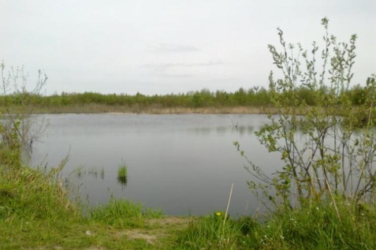 В Одесской области подросток неудачно нырнул: парень в реанимации