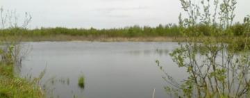 В Одесской области подросток неудачно нырнул: парень в реанимации