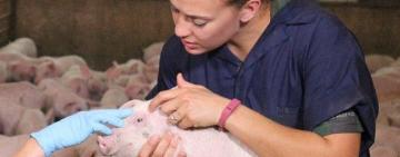 Славетна історія та сьогодення ветеринарної медицини Одещини