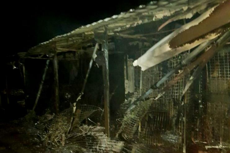 В курортном Приморском Килийского района ночью горел рынок (видео)