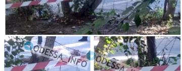 В Одессе зарезали двух мужчин (ФОТО 18+)