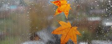 4 сентября в Одесскую область придут долгожданные дожди: 