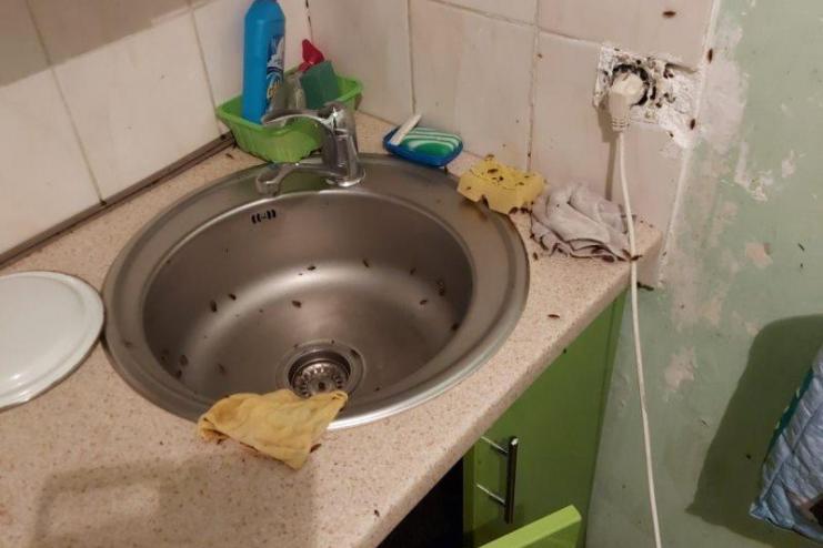  Горе-мать, которая закрыла 3-летнего малыша в квартире, привлекут к ответственности
