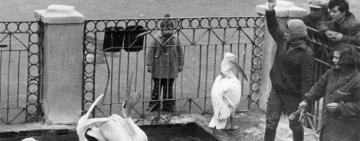 АФИША: Одесский зоопарк приглашает всех на День рождения