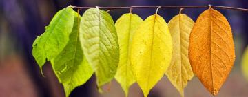 14-20 СЕНТЯБРЯ: ГОРОСКОП НА НЕДЕЛЮ