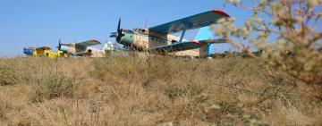 Арцизский аэродром стал площадкой для выполнения вылетов на рассеивание препаратов против бешенства 