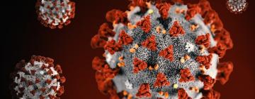 COVID-19: данные по райцентрам Одесской области на 17 сентября