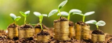 ОТГ НЕ БУДУТ ЗАВИСИМЫ ОТ РАЙОНОВ: ВР ПРИНЯЛА ЗАКОНОПРОЕКТ