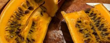 В селе Шевченково Килийской ОТГ фермер-экспериментатор вырастил экзотический овощ