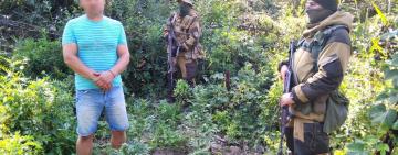 Вилковчанин на островной даче выращивал посевы конопли  