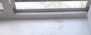 Две жительницы Одесской области обнаружены мёртвыми