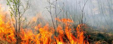 За минувшие сутки в Одесской области произошло 9 пожаров в экосистемах!