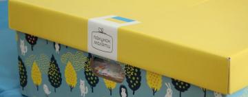 Закон принят: беби-боксы возвращаются 