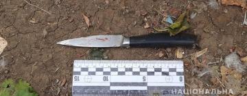 ИЗМАИЛЬСКИЙ РАЙОН: МАТЬ БЫЛА РАНЕНА НОЖОМ В ГРУДЬ, ЗАЩИЩАЯ ДОЧЬ