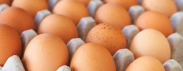 В Украине существенно подорожают яйца