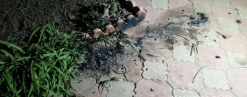 В Одесской области во двор кандидата на пост главы ОТГ бросили «коктейль Молотова»  