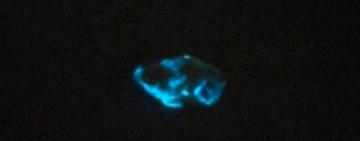 Украинка купила в супермаркете курицу...И всё бы ничего, но тушка светится в темноте