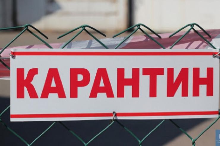 В Одесской области рейдовые мобильные группы контролируют соблюдение карантинных требований