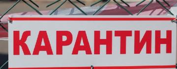 В Одесской области рейдовые мобильные группы контролируют соблюдение карантинных требований