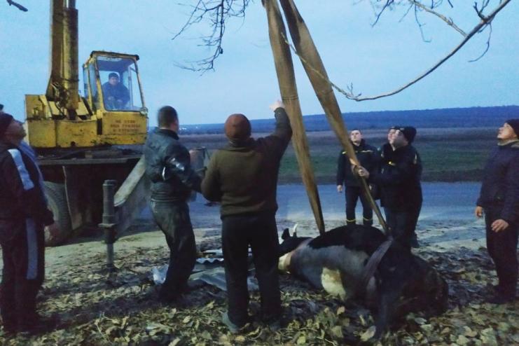Пятница, 13 - "горячий" день для спасателей Одесской области