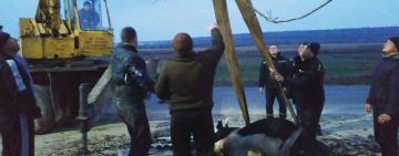 Пятница, 13 - "горячий" день для спасателей Одесской области